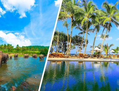 Circuit Balade Sri Lankaise privative et Oclub Experience Pandanus beach resort Spa 5*