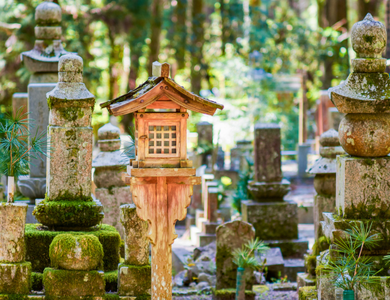Circuit Au Coeur du Japon, Authentique et Insolite