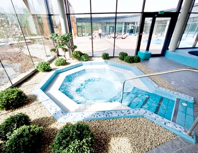 Séjour détente avec accès spa et dégustation de vins d'Alsace près de Strasbourg - 3*