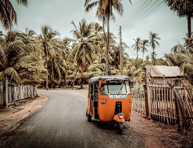Découverte du Sri Lanka