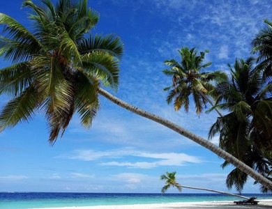 Circuit Merveilles du Sri Lanka et Extension Fihalhohi Island 4* Maldives