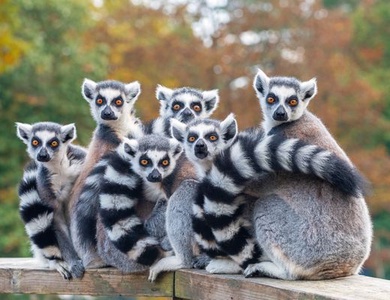 Circuit Splendeurs de Madagascar