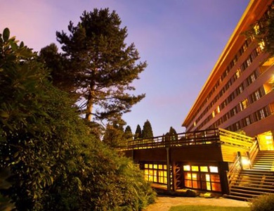  Disney Hotel Sequoia Lodge®: Offre exclusive pour les abonnés Disney+ 