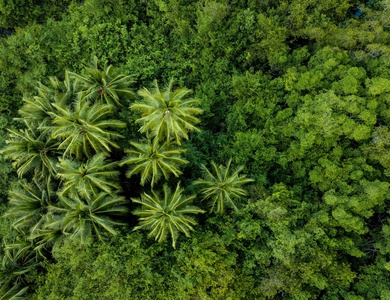 Autotour Entre volcans et forêts, l'âme du Costa Rica