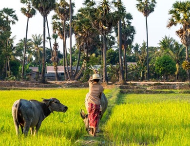 Immersion au Cambodge et balnéaire à Kep 13J/10N