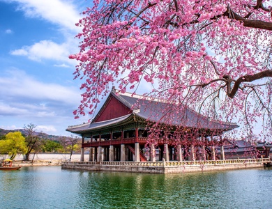 Circuit en Liberté - A la Découverte de la Corée du Sud - De Séoul à Séoul