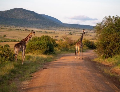 Circuit Explorations du Kenya