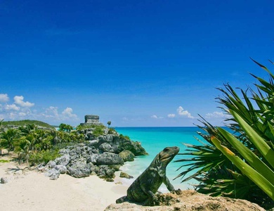 Autotour A la découverte du Yucatan