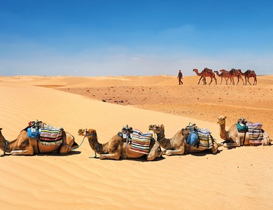 Circuit Balade Tunisienne