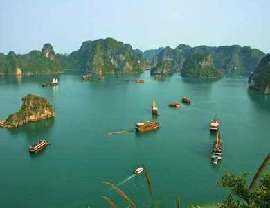 Circuit Vietnam, Terre du Dragon **OP Carrefour**