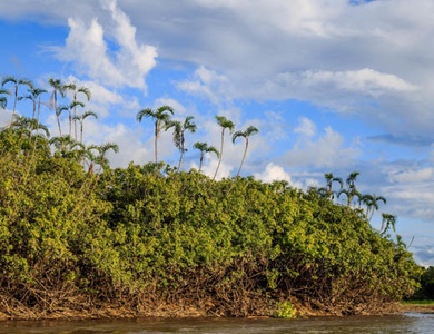 Circuit L'Équateur entre nature et authenticité + pré-tour Amazonie (maximum 16 participants)
