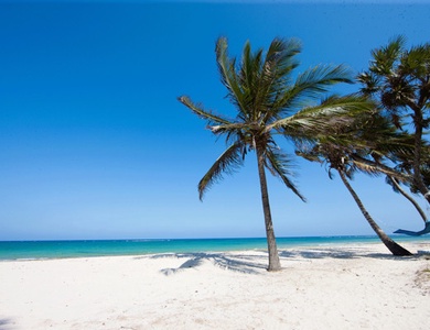 Hôtel Jacaranda Indian Ocean Beach Resort 4*