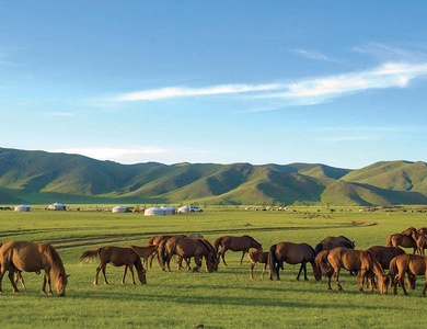 La Mongolie, au Pays du Grand Ciel (petit groupe - 6-12 pers.)