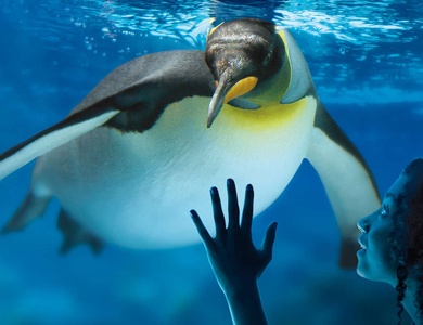 Séjour et entrées pour l'aquarium Sea Life (à 10min) - 3*