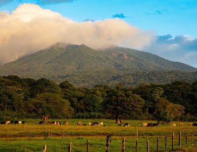 SUR LA ROUTE DU COSTA RICA ET RINCON DE LA VIEJA (Autotour)