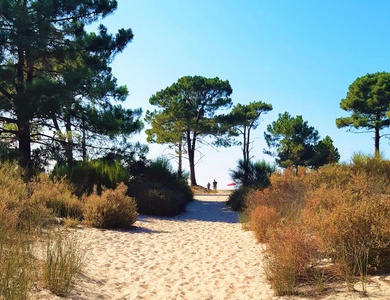 Camping Dolce Vita 3*
