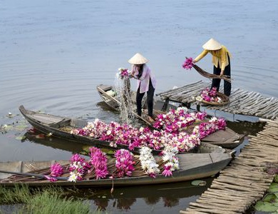Circuit Splendeurs du Vietnam