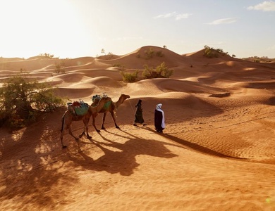 Circuit Kappa Découverte Les Merveilles Du Sultanat D'Oman
