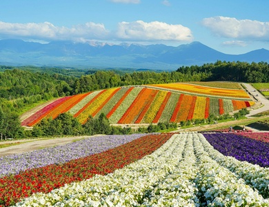 A la découverte d'Hokkaido