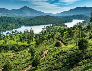 Circuit Richesses de l'Inde du Sud