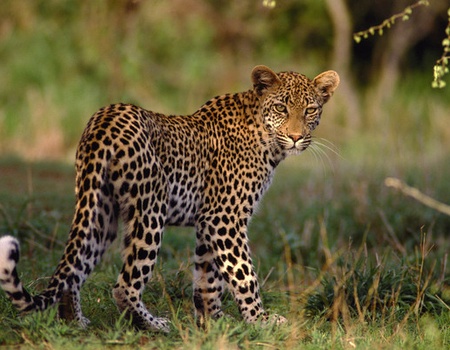 Circuit A la découverte de l'Afrique du Sud 3* avec extension aux chutes Victoria *** - 4