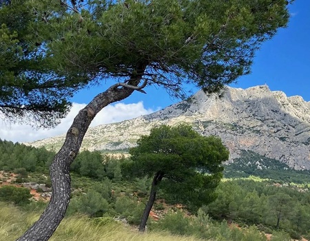 Camping Le Cézanne, 2* - 1