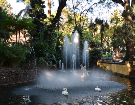 Au coeur de Madère - Logement Jardins d'Ajuda 4* - Madère - 4