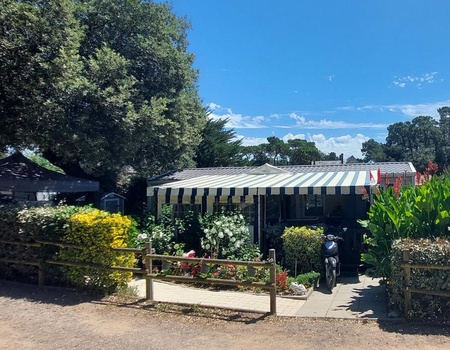 Camping Le Bosquet - 4