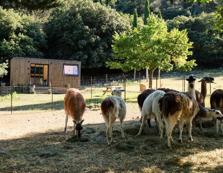 Tiny House : au pied du mont Ventoux - Vaucluse - Le Barroux, Côte d'Azur - Image 2