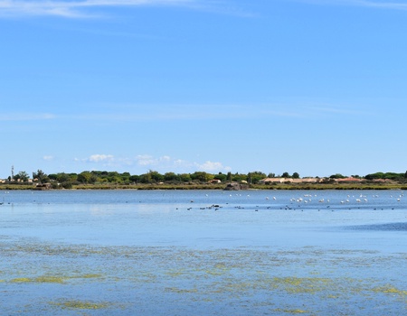 Camping Bleu Marine 4* - 4