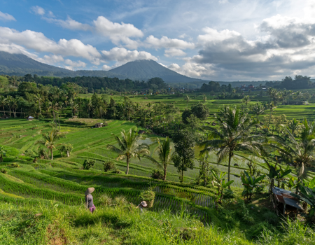 Combiné Jungle, Cascades et Sable de Bali - 1