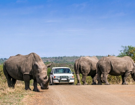 Autotour Safaris & Canyon Sud-Africains - 9J/6N - 1