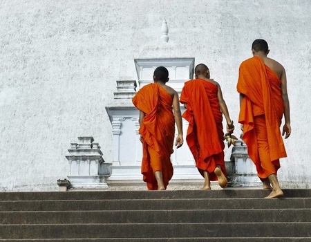 Circuit privé Ceylan buissonnier - 5