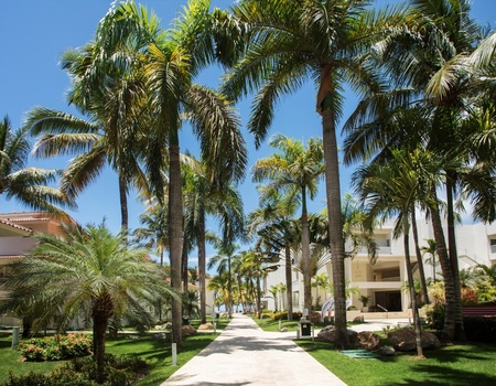 Hôtel Viva Tangerine by Wyndham 4* - Punta Cana, République Dominicaine - Image 4