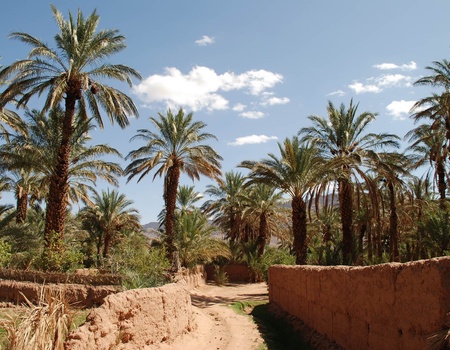 GRAND SUD ET KASBAH EN 3 ETOILES - 8J/7N - 1