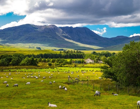 Circuit Légendes d'Irlande - 3