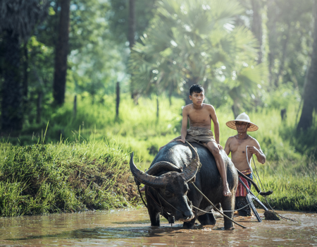 Circuit Joyaux de Bali et Sidemen - 1