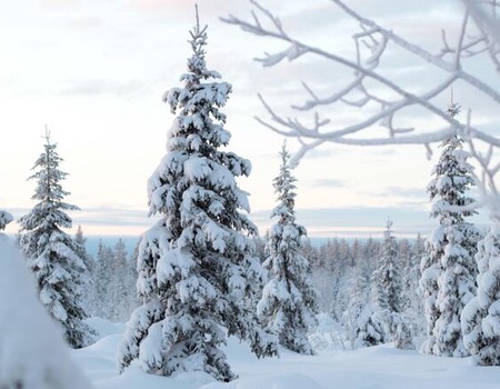 Hôtel Pite Havsbad - Echappée en Laponie Suédoise 5J/4N - 5