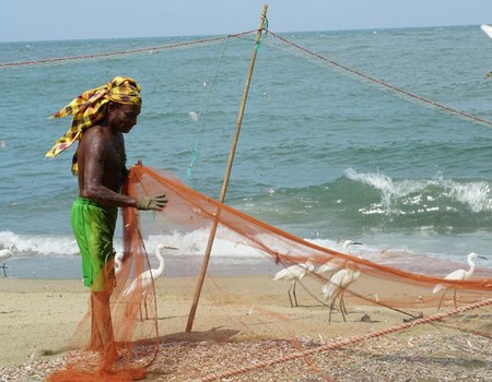Merveilles du Sri Lanka & Extension Kalutara 15J/12N - 2026 - 4