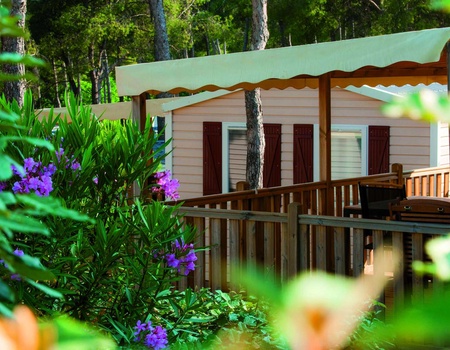 Camping Les Dauphins 3* - 2