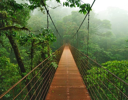 Road Trip L'Éden vert - 2