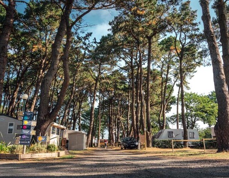 Camping Ushuaïa Villages l'Estuaire *** - Paimboeuf - Loire Atlantique - Paimboeuf, Atlantique Nord - Image 3