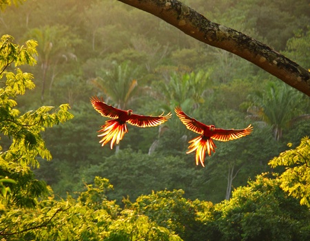 Autotour Les Splendeurs du Costa Rica - San Jose, Costa Rica - Image 5