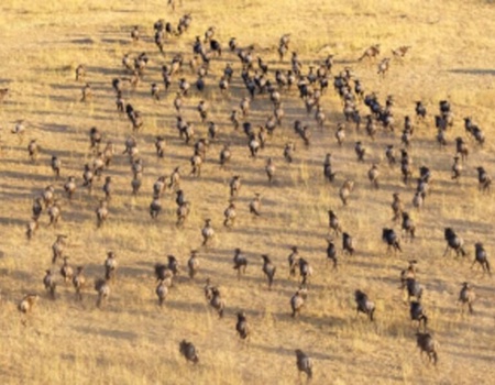 Circuit Sur les pistes de Tanzanie avec le Serengeti - 2