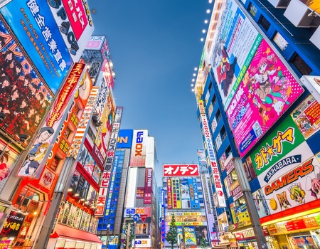 Circuit individuel: Des essentiels au Mont Fuji en 3* ou 4* - STD* - 2