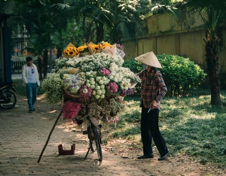 Circuit Là où naissent les brumes : Vietnam, de Sapa à Ho Chi Minh **** - 4