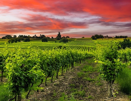 Circuit Saveurs et rencontres argentines - 4