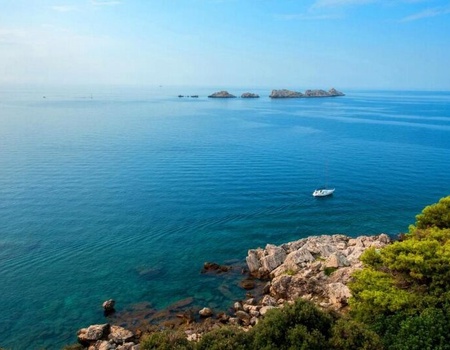 Hôtel Royal Neptun 4* - 1