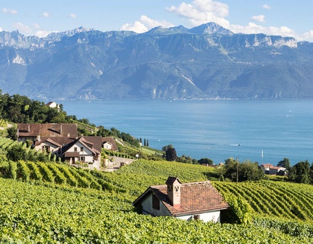Venez faire le plein d'air frais à côté de Genève ! - 4* - 1