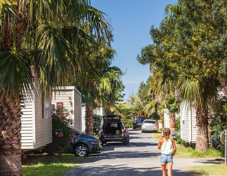 Camping Le Soleil de la Mediterranée - 3
